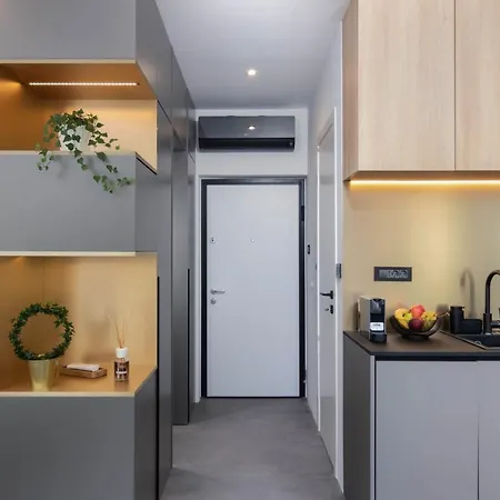 Tonina Studio: Center أوباتيا